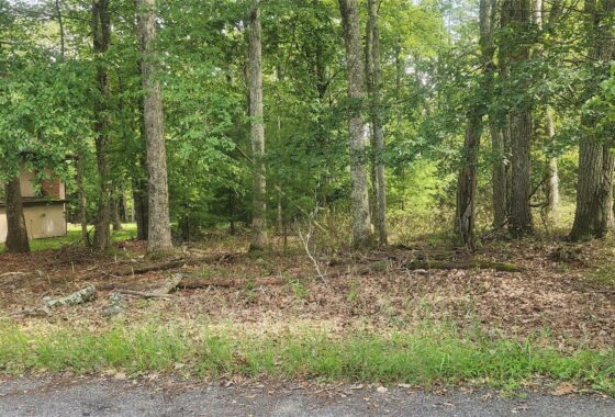937861 chelsea lane