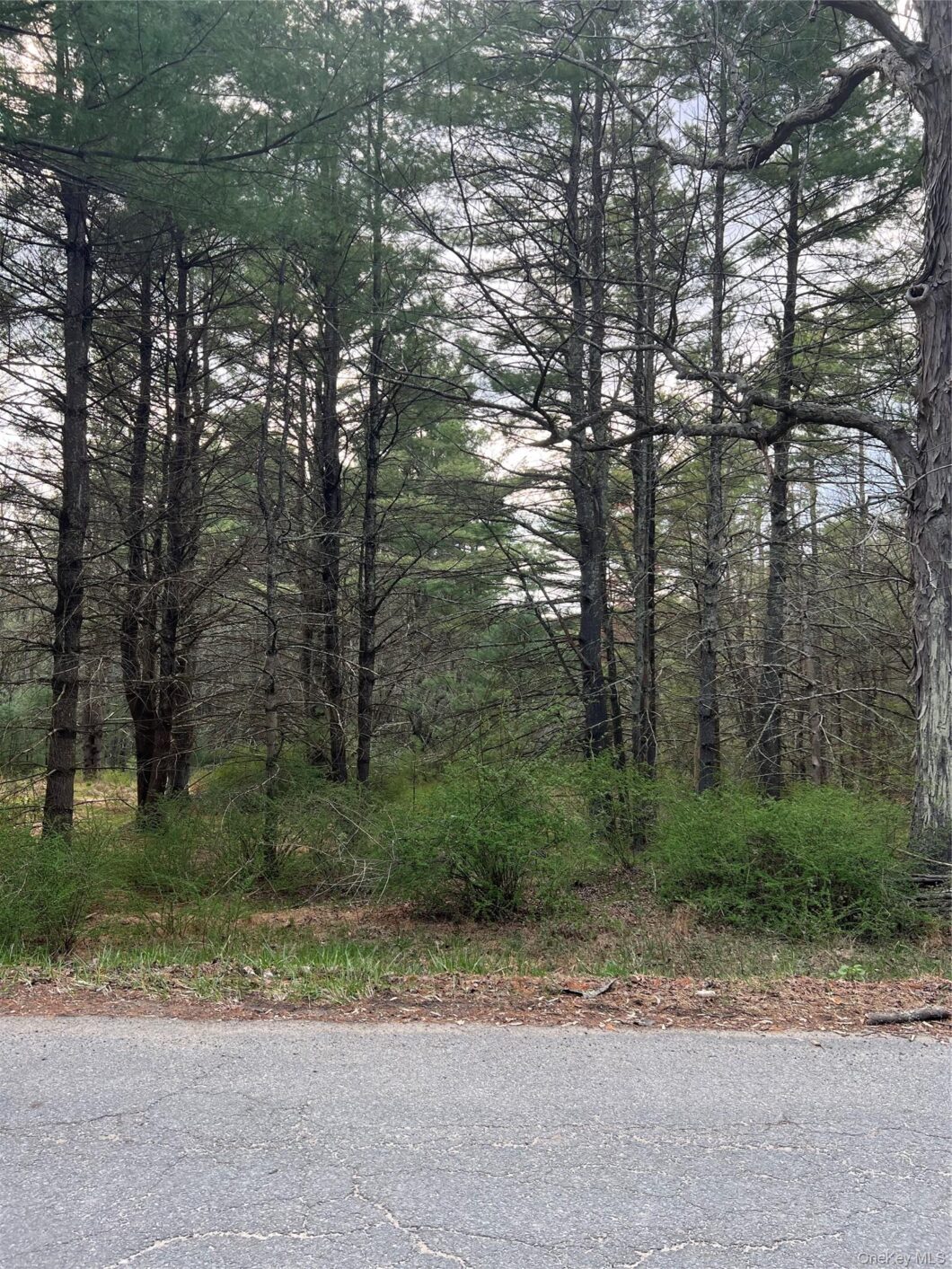 987081 00 upper pine kill road